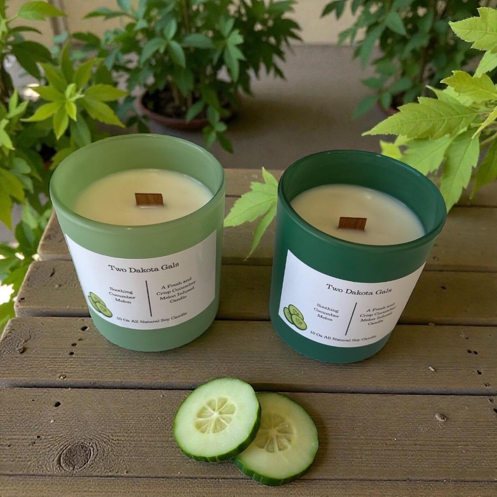 Cucumber Melon Soy Candle