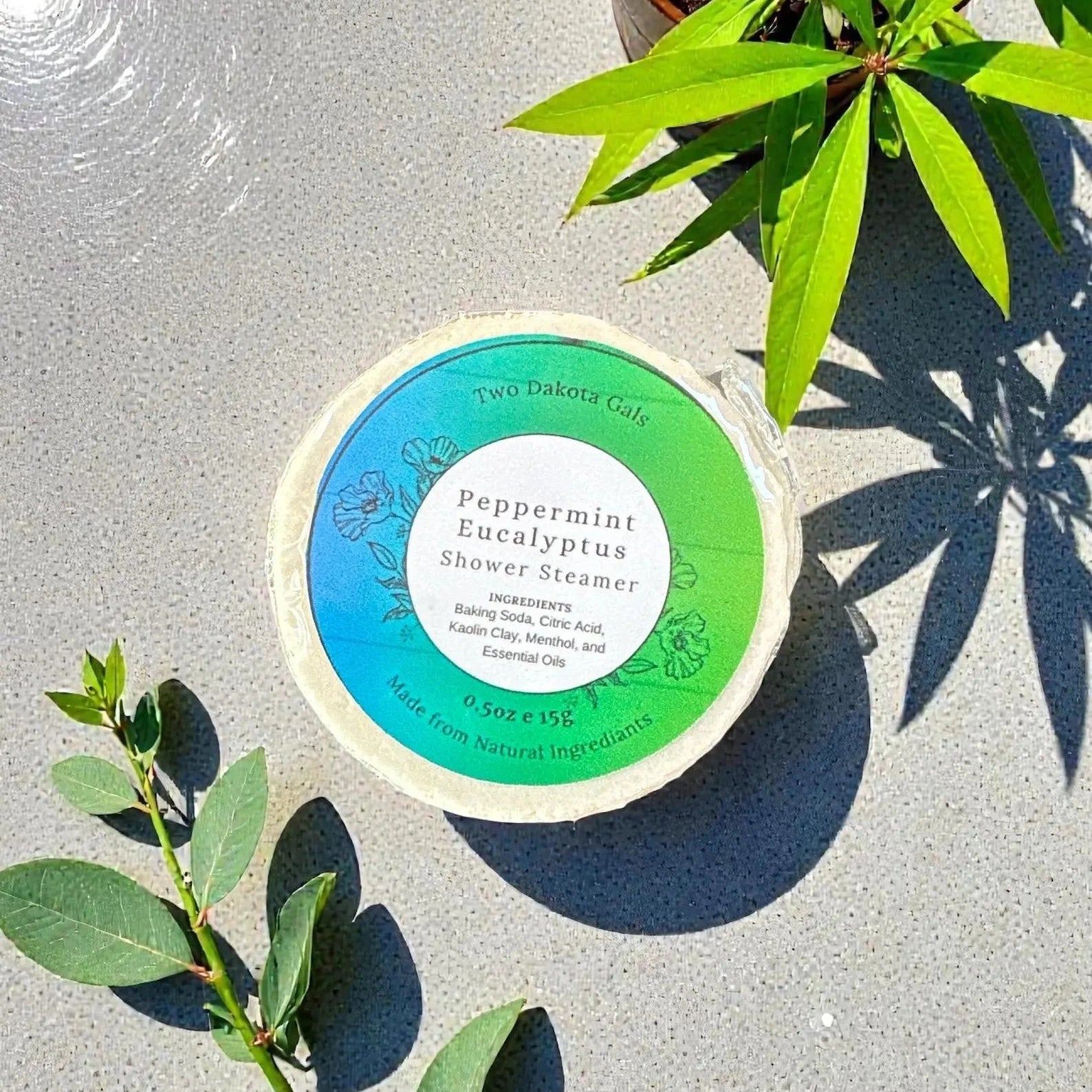 Peppermint Eucalyptus Shower Steamer